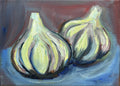 Garlic — original oil painting by Claire Jutabha